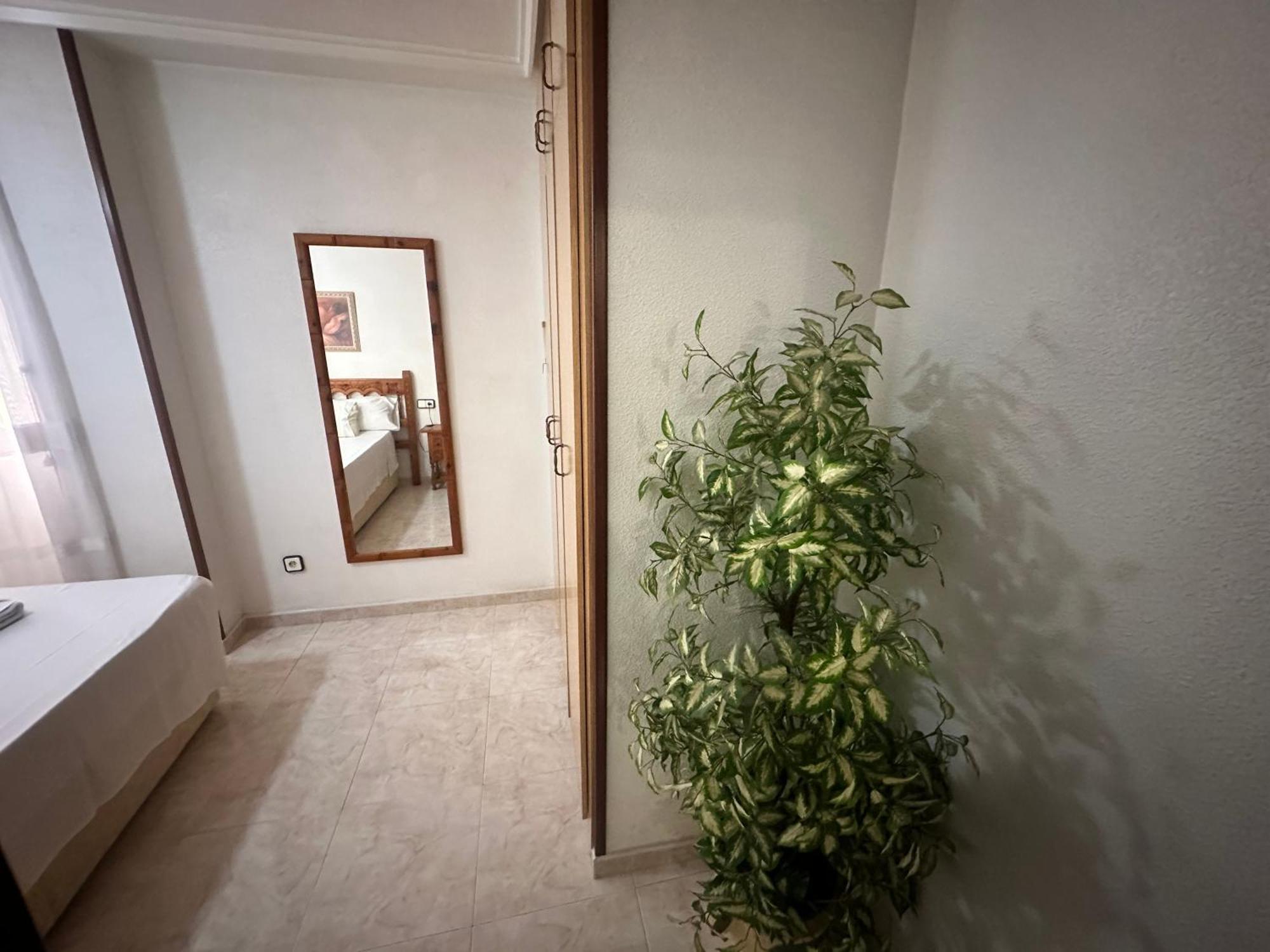 Homely Apartments Habaneras Torrevieja Dış mekan fotoğraf